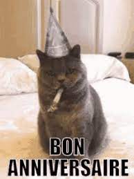 Bon Anniversaire Gifs Tenor