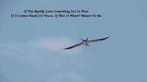 We did not find results for: Quotes About Love And Flying Quotesgram