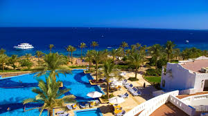 Check spelling or type a new query. Air Cairo