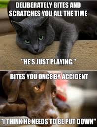 Cats And Dogs Funny Meme And Gif Jpg 550 717 Cat And Dog Memes Funny Cats And Dogs Cat Quotes Funny
