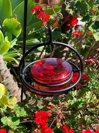 Introducing the new solution for cleaner feeders. Monarch Abode Circular Hummingbird Feeder Red Glass Feeder With Perc