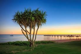 Its main attraction is an 868 meter long pier that extends into the ocean. Beaches Visit Fraser Coast