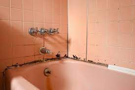 We did not find results for: Black Spots On Shower Caulking Bathtub Home Buying Tips Home Inspection