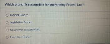 Lesson plan template and teaching resources. What Is The Judicial Branch Responsible For