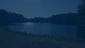 8026 w bowles ave, littleton, co 80123. Lakehouse Tavern