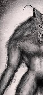 Drawing A Scary Werewolf Dogman Album On Imgur
