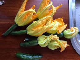 We did not find results for: In The Garden Tonight My Fingers Smell Of Garlic Page 2