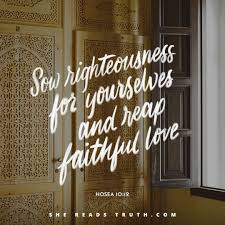 Grace Day Hosea 10 12 Faith Quick View Bible