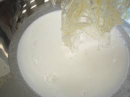 Bloomed Gelatin Coconut Panna Cotta Panna Cotta Coconut