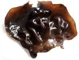 La consommation de champignon noir n'est pas conseillée aux gens qui atteints de maladies de saignement et de diarrhée, ni aux femmes enceintes. Champignon Noir