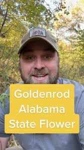 Kyle Smoak's Instagram, Twitter & Facebook