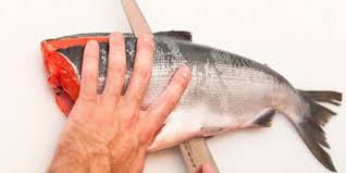 Jika seseorang melihat ikan yang berwujud manusia dalam mimpi. Menyembelih Ikan Dalam Mimpi Untuk Seorang Wanita Ikan Dipotong Potong Mengapa Seorang Wanita Memimpikan Ikan Dalam Mimpi