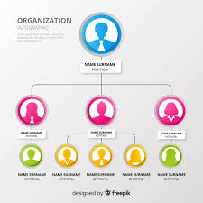 Organization Chart Vector Free Download