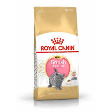 royal canin kitten british shorthair yavru kedi mamasi yavru kediler kedi balik yagi