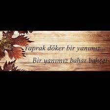Ahmet Kaya Yaprak Doker Bir Yanimiz Bir Yanimiz Bahar Bahce