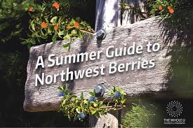 A Quick And Juicy Guide To Berries Of The Northwest The