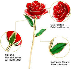 ▻▻ buy them on amazon here the meaning behind the rainbow rose rainbows have such a vibrant color, this roses an infinity rose is a real rose dipped in real gold that lasts forever. Amazon Com Gold Dipped Rose 24k Gold Rose Long Stem 24k Gold Dipped Rose Lasted Real Roses With Stand Romantic Gift For Valentine S Day Mothers Day Christmas Birthday Best Anniversary Gifts For Her Mom Wife Home Kitchen