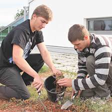 Wir freuen uns über ihr interesse an der städtischen berufsschule für gartenbau, floristik und vermessungstechnik. Stadtische Berufsschule Fur Gartenbau Floristik Und Vermessungstechnik