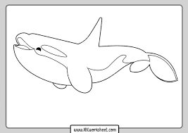 Set off fireworks to wish amer. Pin On Animal Coloring Pages