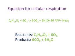 The expressed chemical equation for this interaction can be defined as Cellular Respiration