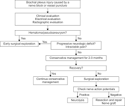 Flowchart For The Treatment Of Brachial Plexus Injury Caused