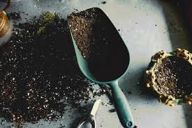 420 strain reviews 420 product reviews grow supply product reviews. How To Create Your Own Cannabis Super Soil Mix Rqs Blog