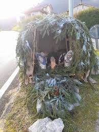 Sei un "GNAUS" di Verzegnis.....