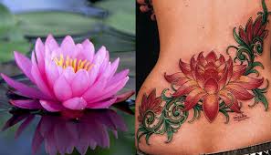 99 Best Lotus Flower Tattoo Designs Mandala And Unalome Lotus Meaning And Ideas