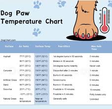 Image result for Handic 43C