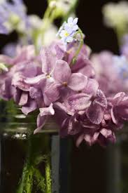 Tahan lama atau tidaknya bunga potong bisa dipengaruhi dari cara pemotongannya. Nak Bunga Segar Tahan Lama 10 Cara Ini Mampu Panjangkan Hayat Flower Cut Anda Impiana