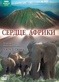 Bbc Serdce Afriki Smotret Onlajn Dokumentalnyj Film V Horoshem Kachestve Hd