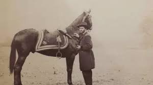 9 Of The Most Famous War Horses In ...