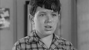 Watch Leave It to Beaver Online