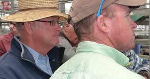 Supply trends varied, and this aided weaker competition at some sales with  price trends very mixed