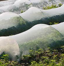 Insect netting the row johnny outside living seeds row covers market garden overwintering outdoor. 54 Wire Support Hoops 25 Count Johnny S Selected Seeds Seed Planting Schedule Row Covers Love Garden