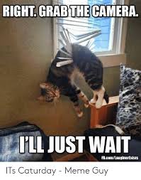 We did not find results for: 25 Best Memes About Caturday Meme Caturday Memes