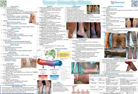 Image result for Localized Edema