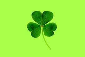 Four leaf clover black and white clip art 4 leaf clover drawing. How To Draw A Clover Leaf Step By Step Bujo Babe