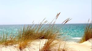 The beach's secluded location (accessible by ferry. Guide To Texas And Austin Beaches Best Beaches In Texas And Austin