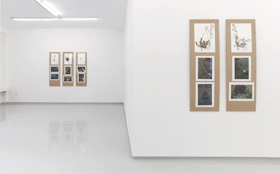 Galerie Max Mayer