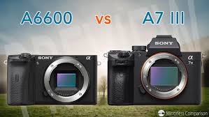 For a couple of years, nothing else. Sony A6600 Vs A7 Iii The 10 Main Differences Mirrorless Comparison