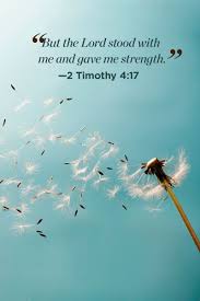 Psalm 28:7 the lord is my strength and my shield; Pin On Inspiration