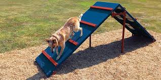 Image result for how to build obstacle course for dogs