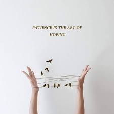 Dilly Carlo Patience Is Not The Ability To Wait Patience Is To Be Calm No Matter What Happens Constantly Take Action To Turn It To Positive Growth Opportunities And Have
