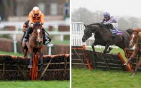 Decide in through the promo banner on the paddy energy homepage to say the free bets. Paddy Power Plate Runners And Tips For The 2021 Cheltenham Festival