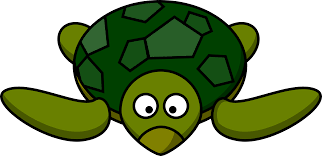 Turtle Clip Art Images Clipart Panda Free Clipart Images Cartoon Turtle Turtle Outline Turtles Funny