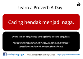 David suryadi, dimitri hariastuti, lasja fauzia susatyo and others. Learn A Malay Proverb Cacing Hendak Menjadi Naga Merapi Indah