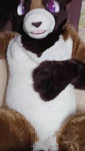 Female fursuit kemono missionary - ThisVid.com