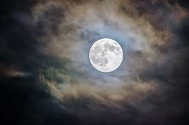 Best 100 Moon Images Hd Download Free Pictures Stock Photos On Unsplash Whatsapp profile picture,whatsapp dp,whatsapp,whatsapp dp images,how to save whatsapps for boys and girl,sharing whatsapp dp pics. best 100 moon images hd download