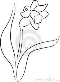 Black Daffodil Sketch Daffodils Flower Painting Line Drawing Here's a quick tutorial on how to draw daffodils. black daffodil sketch daffodils